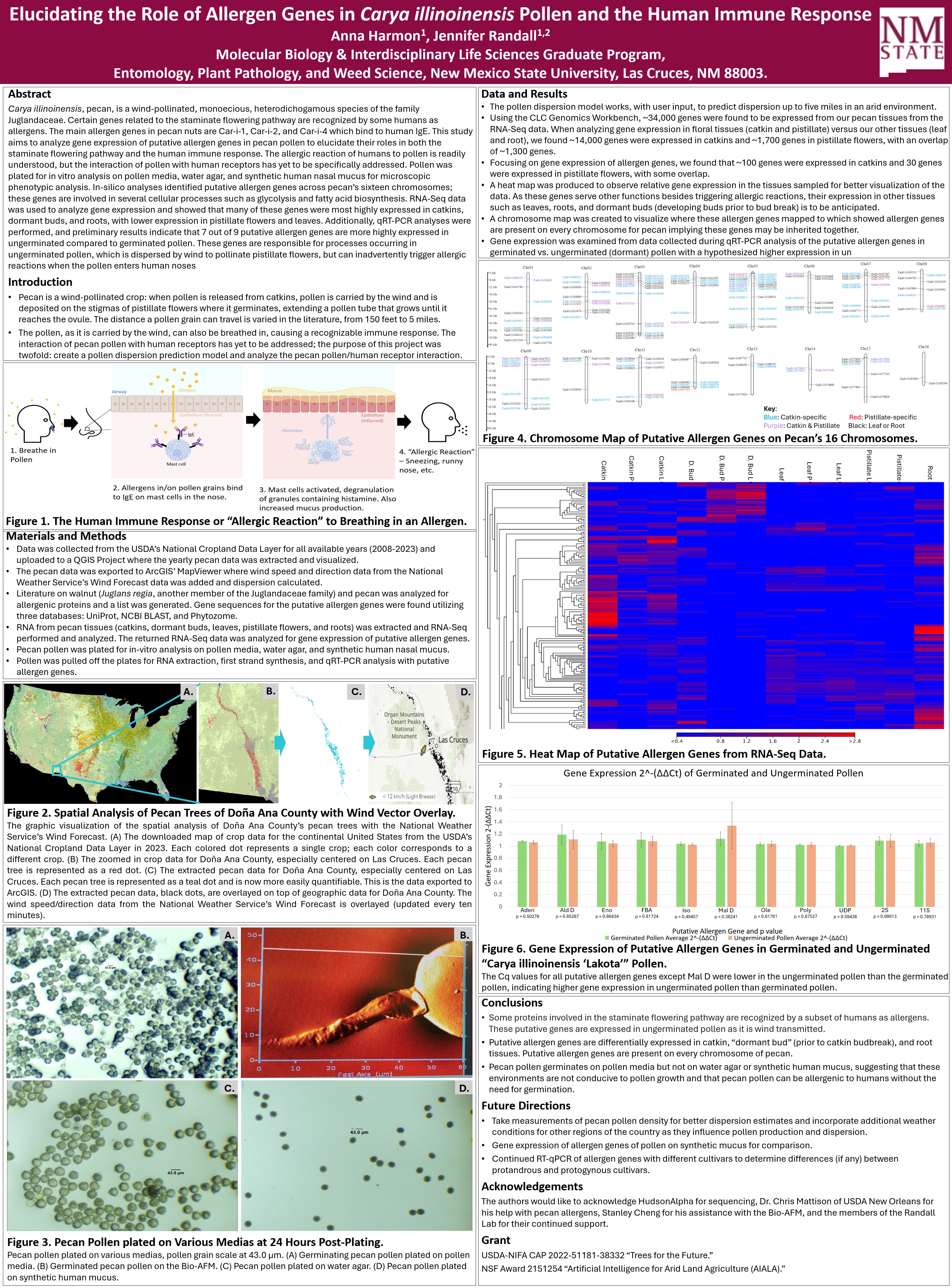Anna Harmon 2025 PAG Poster